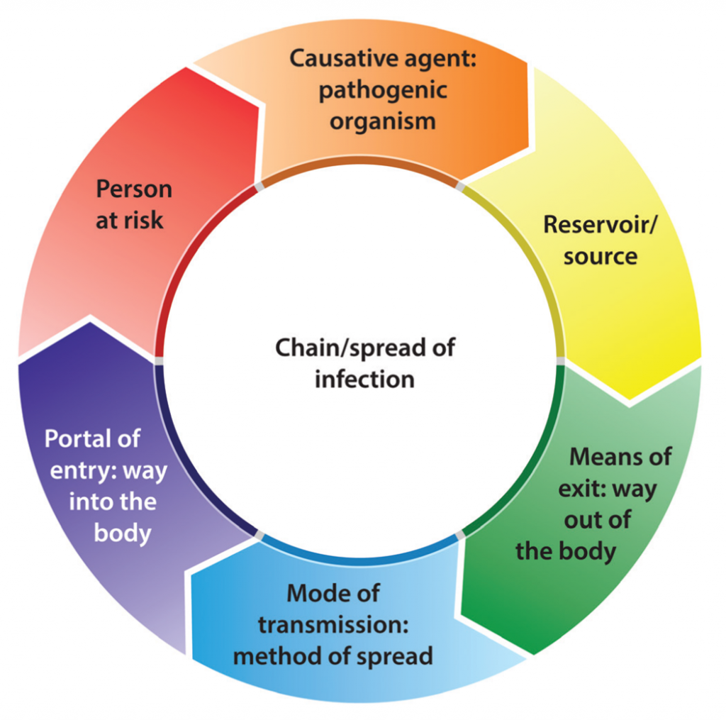 the-chain-of-infection-copy-coral-reed