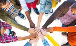 Equality & Diversity