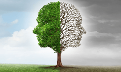 Mental Health, Dementia & L D