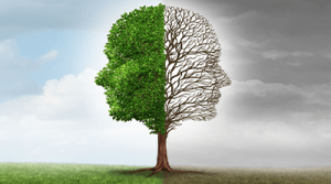 Healthcare courses online Healthcare courses online